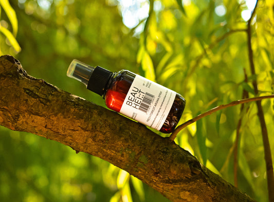 Fresh Forest Aroma Spray № 87